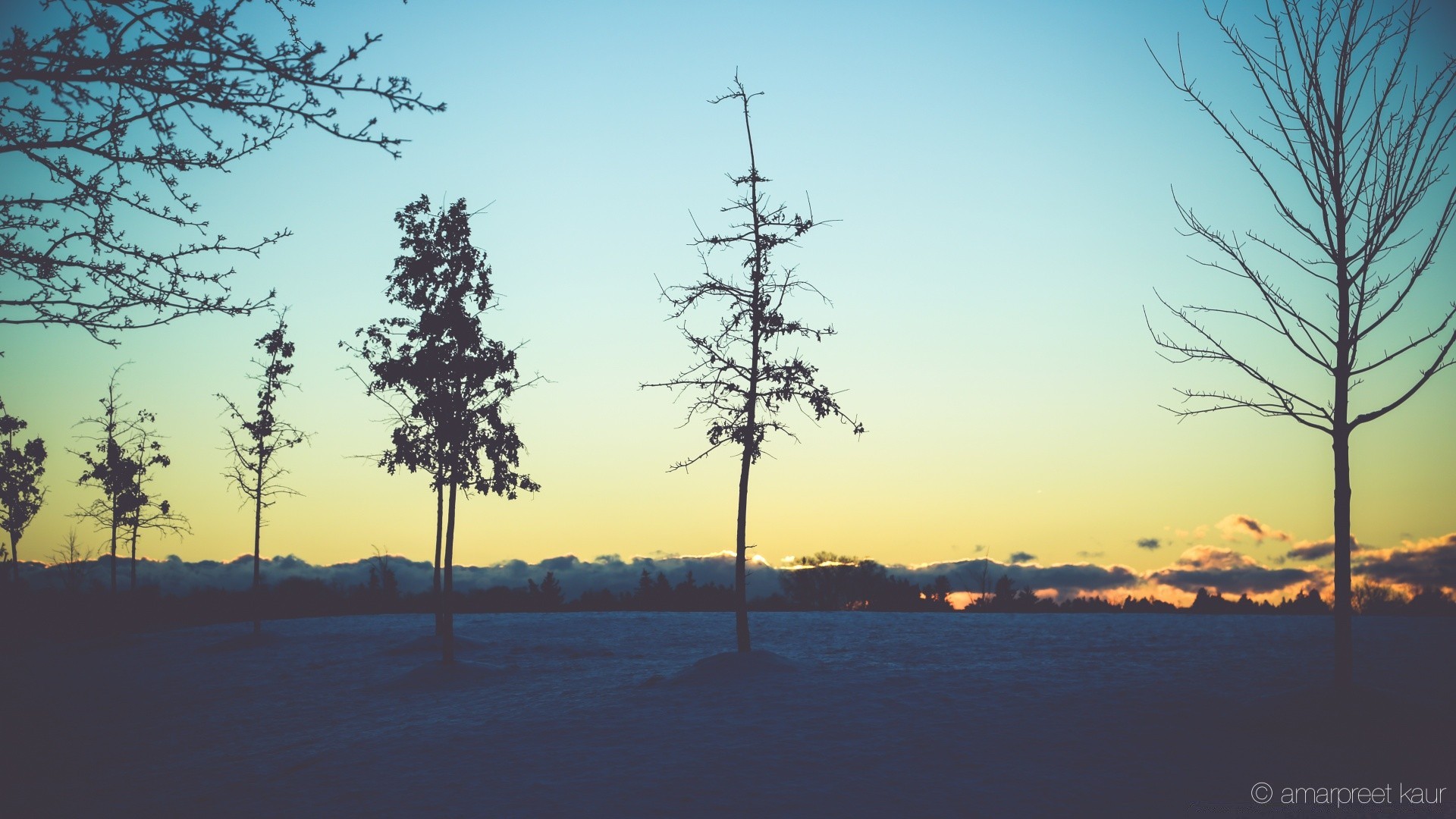 winter baum natur landschaft himmel im freien dämmerung holz wetter nebel schnee sonnenuntergang medium gutes wetter