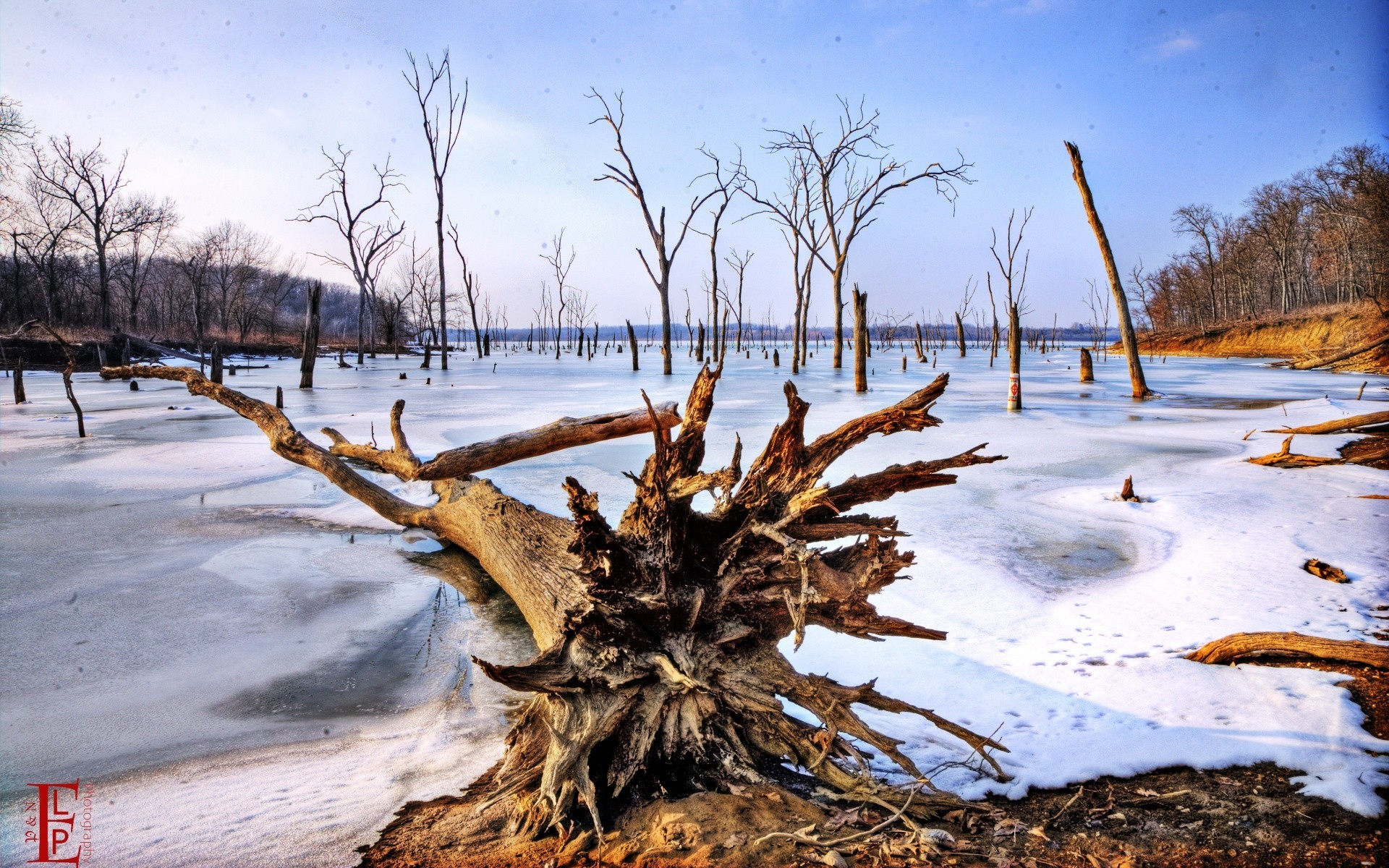 winter natur schnee baum landschaft wasser holz im freien jahreszeit wetter mittwoch kalt frost himmel gefroren eis reisen landschaftlich gutes wetter