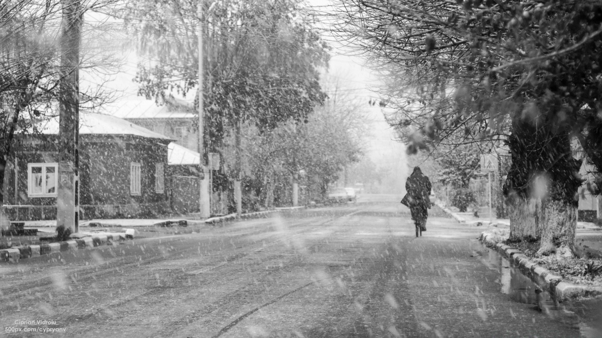 inverno adulto grupo rua homem guerra desastre carro militar árvore estrada casa