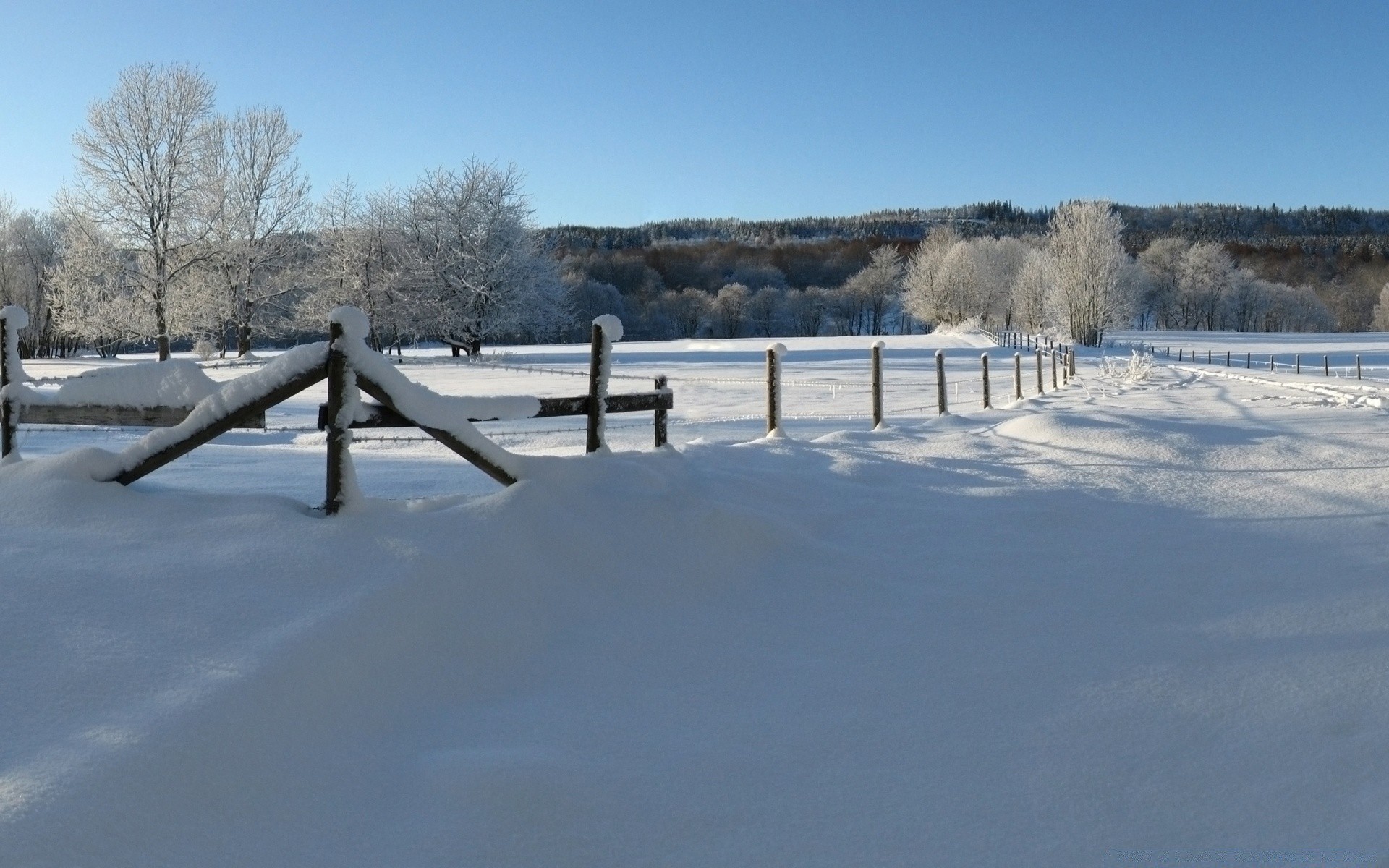 inverno neve freddo gelo ghiaccio congelato paesaggio tempo albero all aperto natura legno cielo gelido acqua