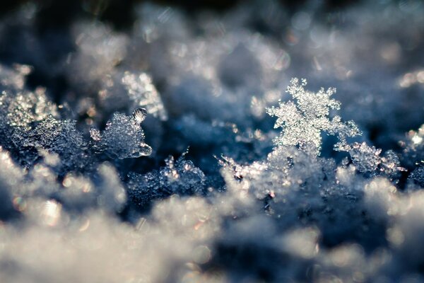 Frostige Natur. Großer Schnee