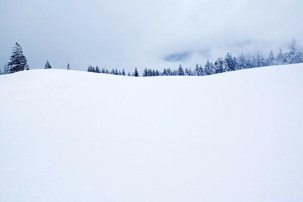 Winter landscape. Fluffy white snow