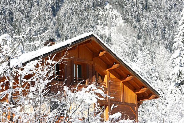 Casa de campo de madera en el bosque de invierno