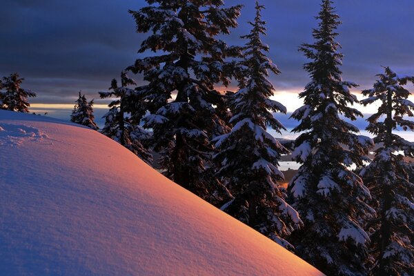 Winter landscape of mountains against the background of trees