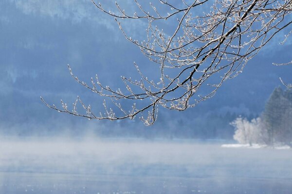 Frostiger Winter. Blauer Himmel