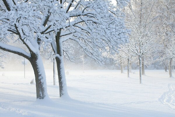 Winterschnee Frost kalt