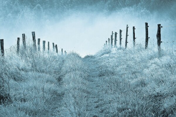 Paisaje de frío invierno nevado y helado