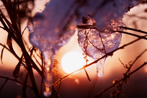 Tauwetter, Eiszapfen in der Sonne schmelzen