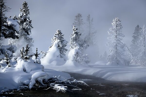 Winter- und Eiskleidung der Natur