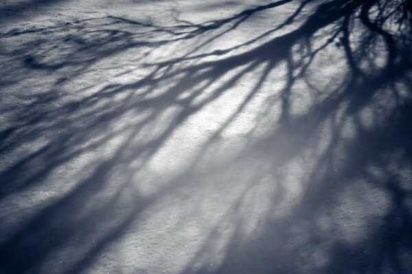 Weißer Schnee. Schatten im Schnee