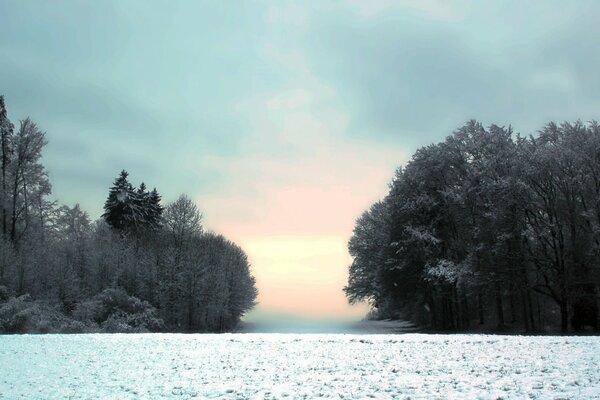 Schöne blaue Oberfläche und Inseln