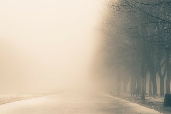 Winterabend. Dichter Nebel umhüllte den Wald