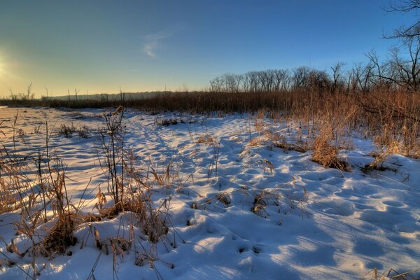 Journée glaciale d hiver au bord du lac