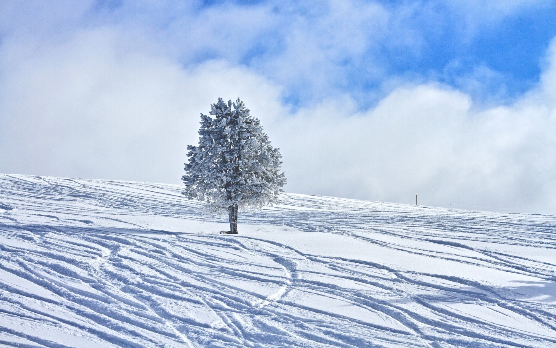 hiver neige froid gel congelé paysage glace météo saison scénique givré bois montagnes tempête de neige neigeux piste congère nature bois