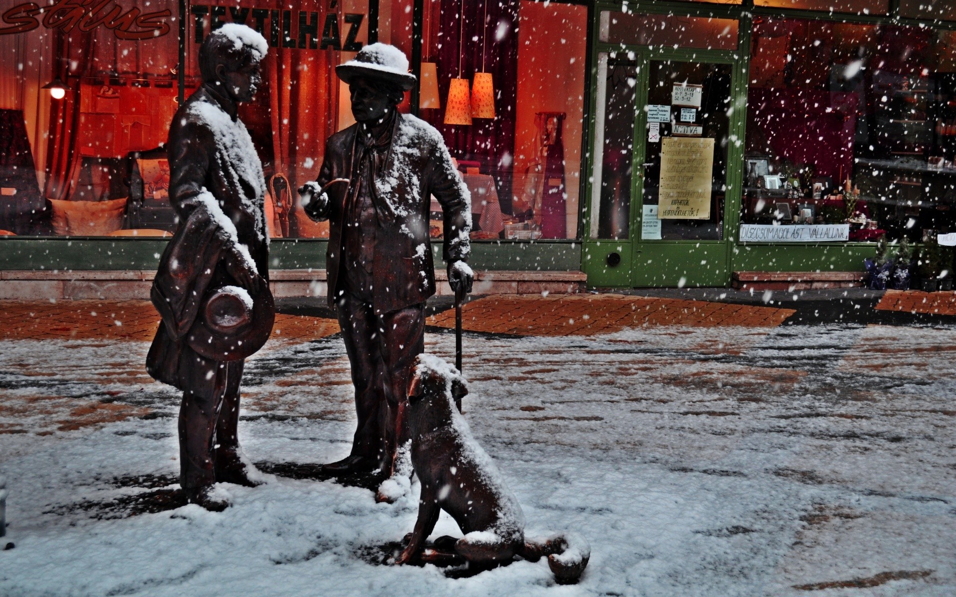 inverno via città da solo adulto indossare uomo