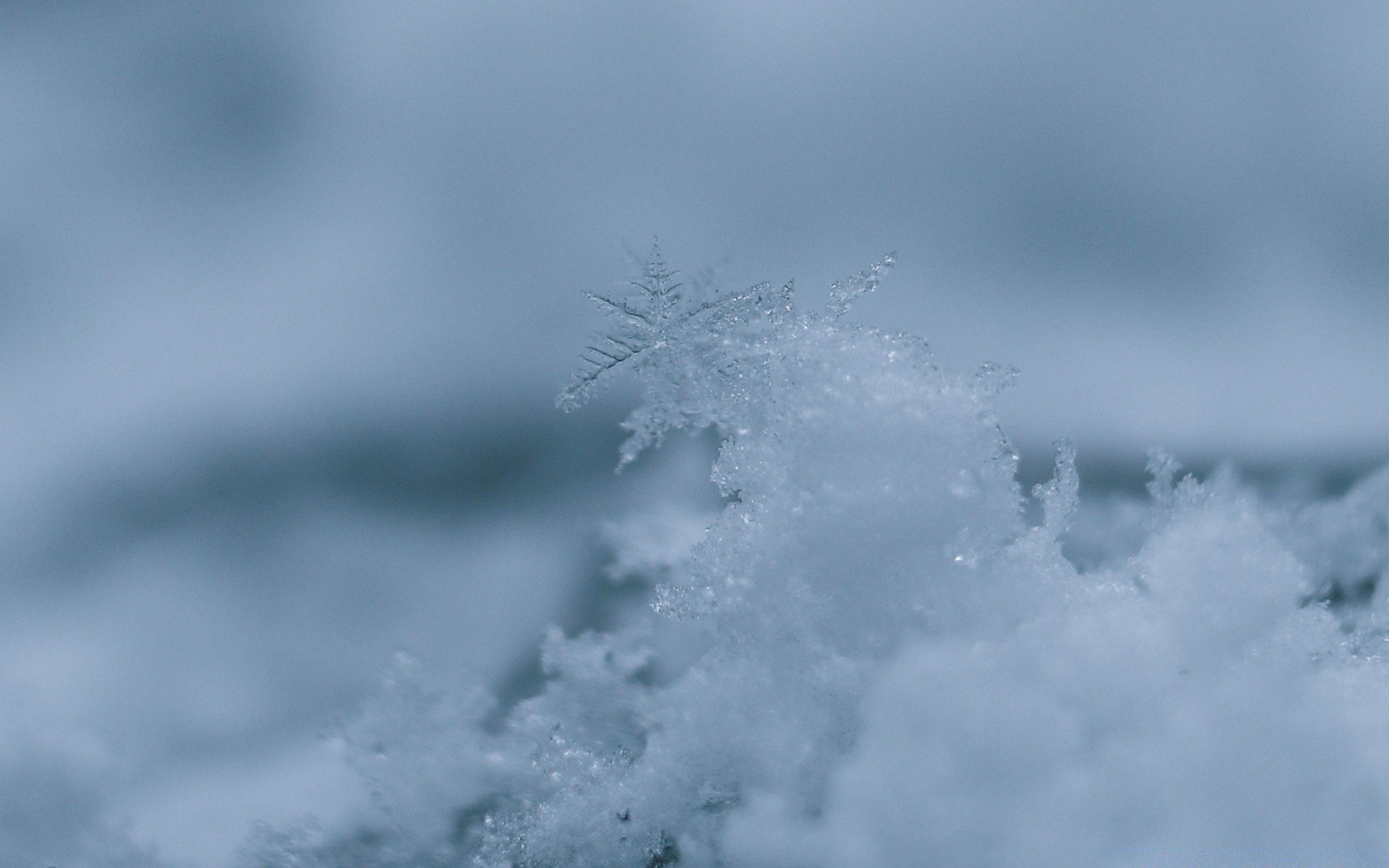 winter snow nature weather ice sky cold frost landscape christmas outdoors abstract frozen fair weather fog