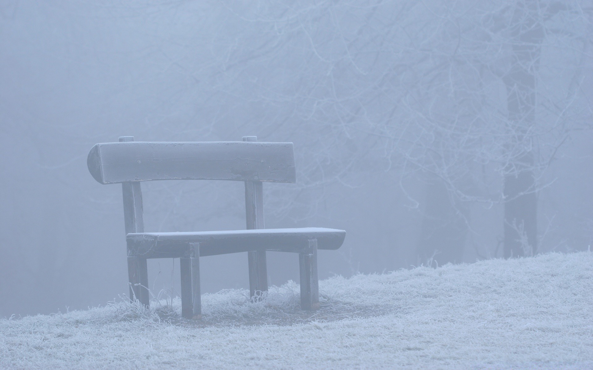 winter snow cold frozen frost weather ice seat fog landscape wood bench light outdoors frosty snowstorm nature tree daylight