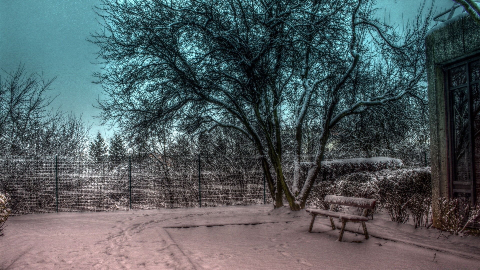 winter holz landschaft holz schnee frost natur kälte wetter saison im freien nebel eis gefroren park zweig landschaftlich herbst