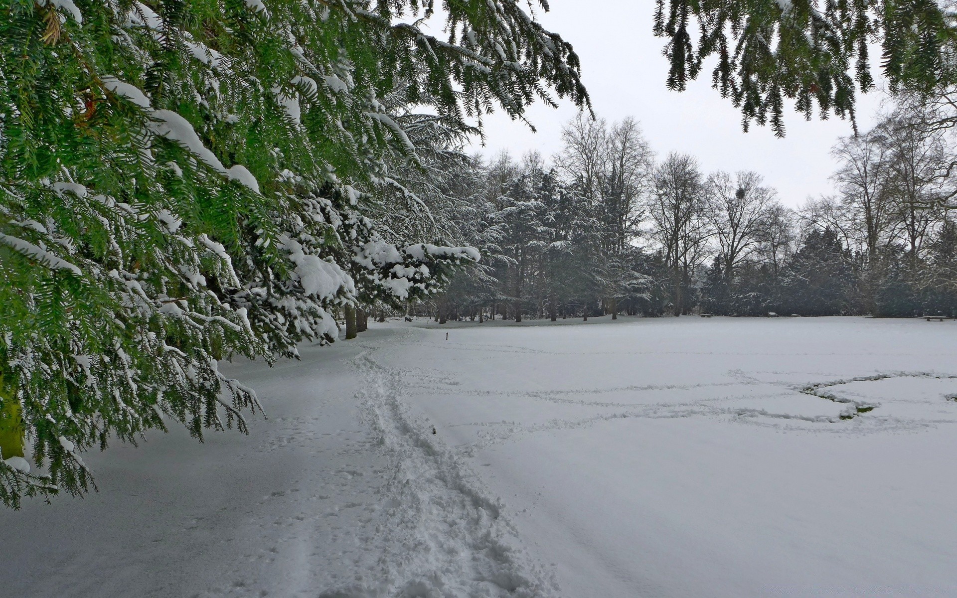 hiver arbre paysage neige nature météo en plein air saison eau bois scénique parc environnement froid lumière du jour glace voyage route congelés