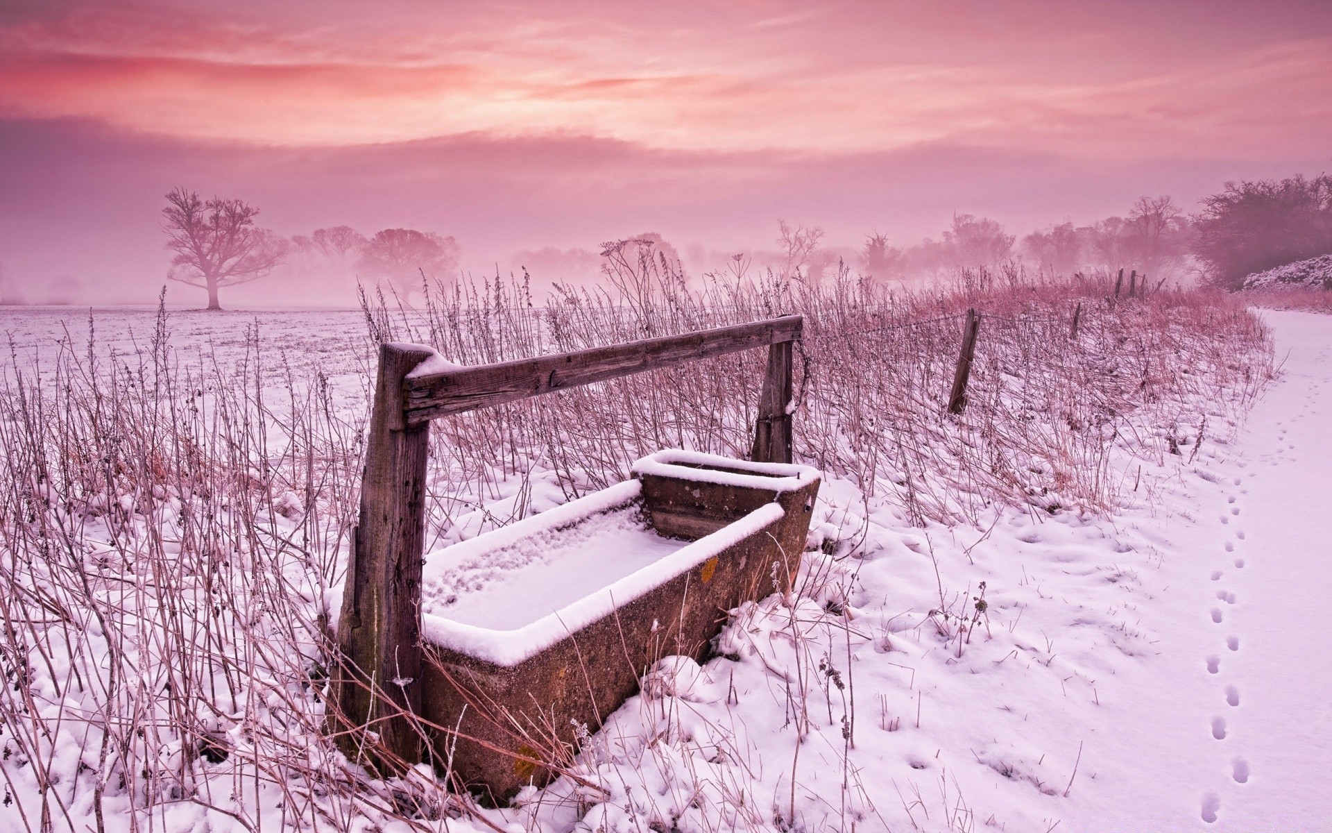 inverno neve freddo gelo congelato alba natura paesaggio tramonto all aperto cielo legno acqua stagione tempo ghiaccio sera lago crepuscolo