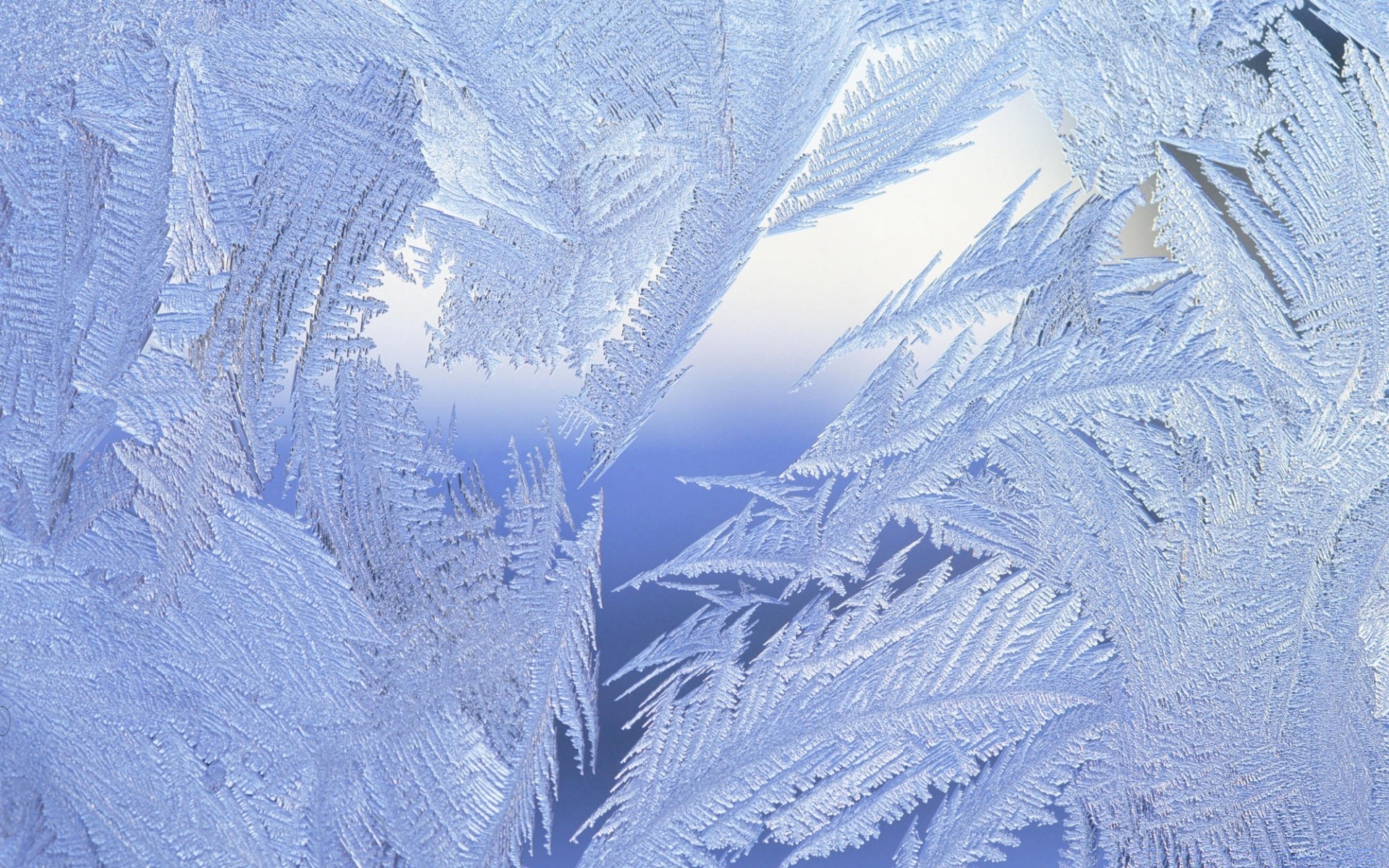 inverno neve gelo freddo ghiaccio congelato natura stagione ghiacciato legno gelido montagna tempo