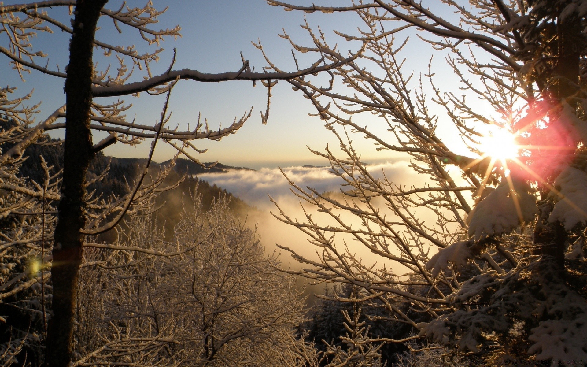 winter baum landschaft dämmerung sonnenuntergang natur holz sonne zweig schnee gutes wetter himmel im freien abend licht saison mittwoch wetter herbst