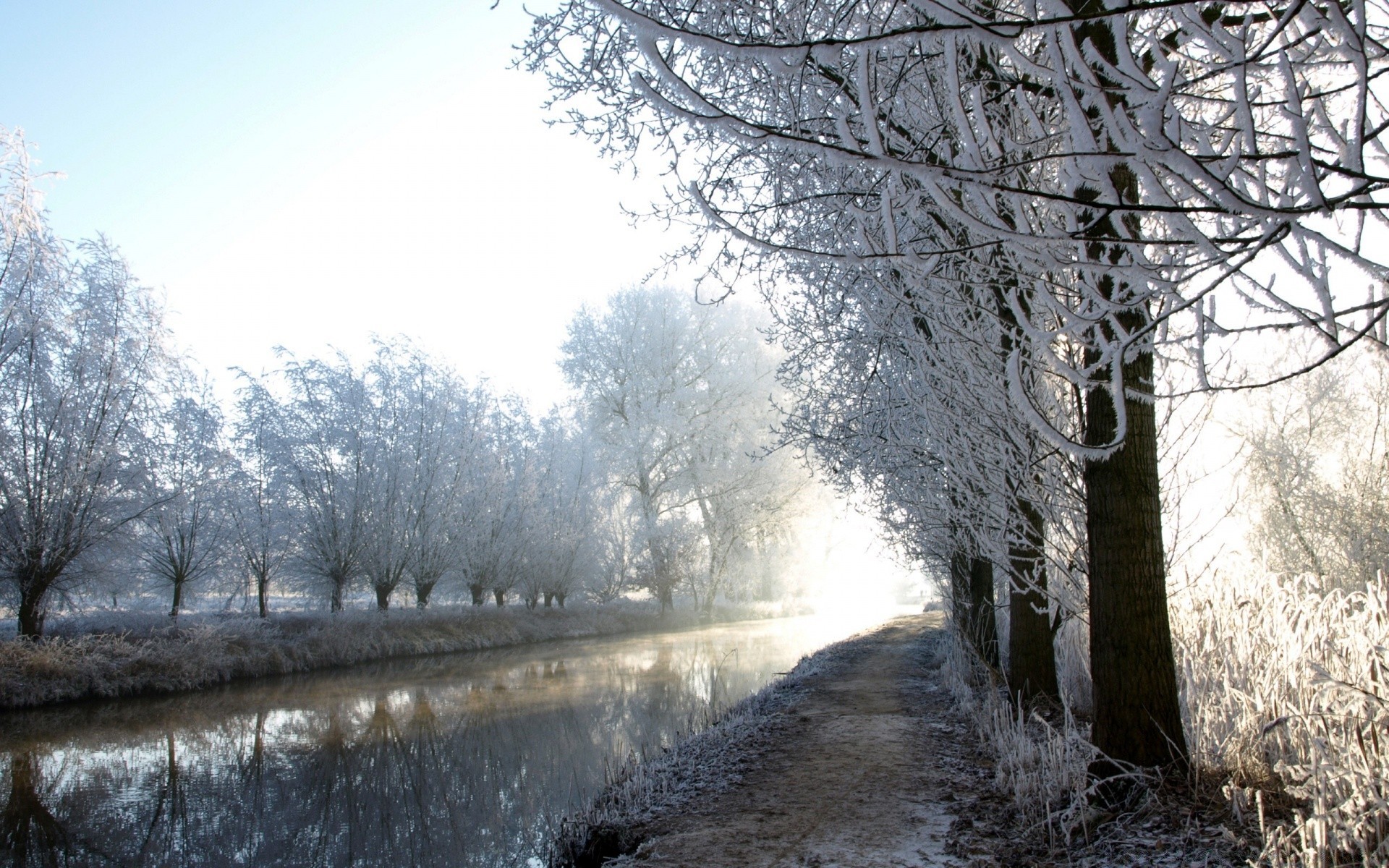 winter snow cold frost frozen ice landscape wood weather tree season nature fog guidance park branch icy road scene