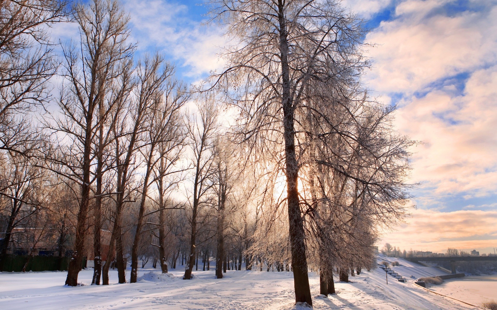 winter snow tree frost wood cold landscape frozen weather ice season fair weather nature dawn branch fog countryside park scenic