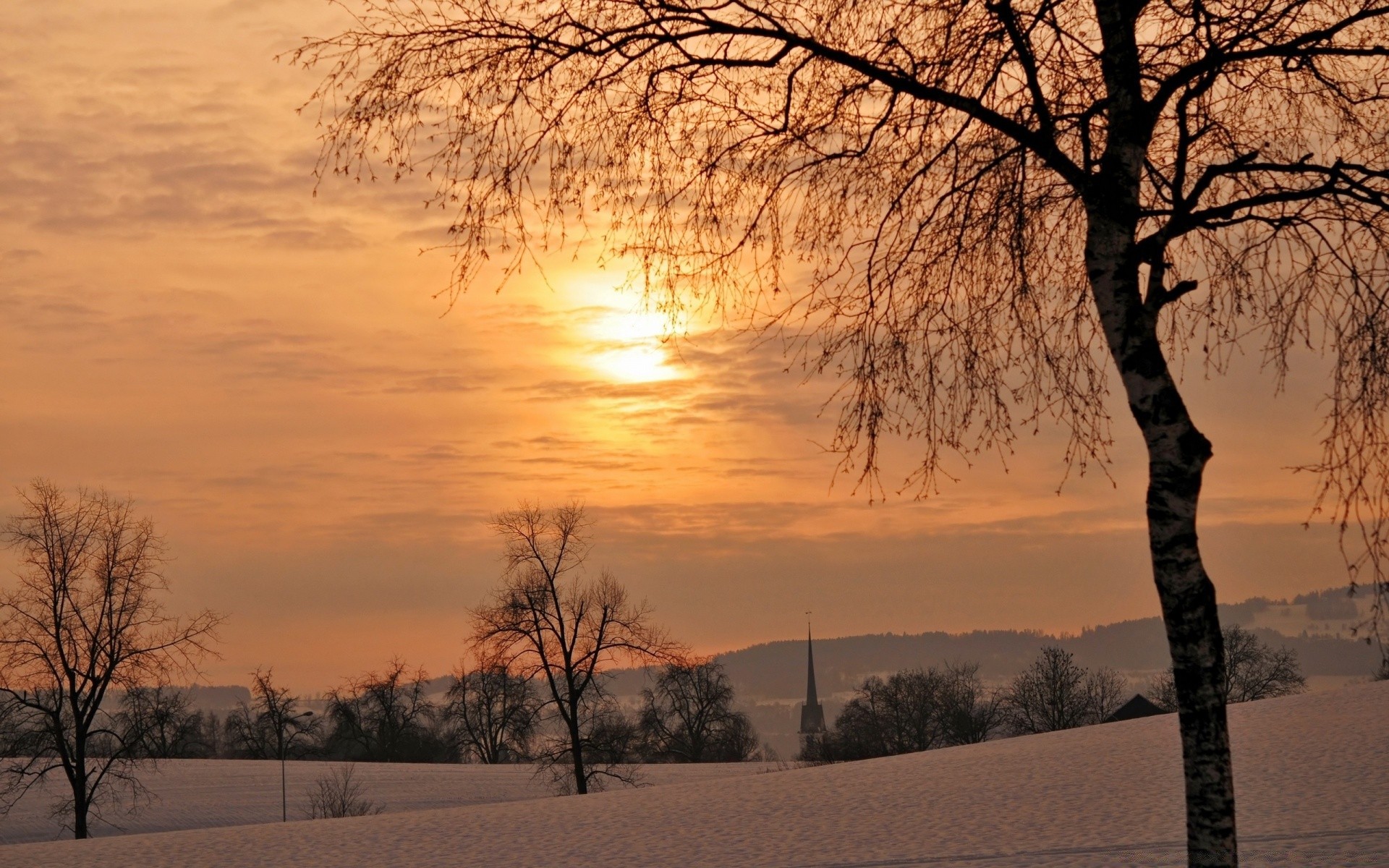 invierno árbol amanecer paisaje nieve naturaleza tiempo madera niebla puesta de sol buen tiempo frío sol otoño escarcha temporada niebla rama campo