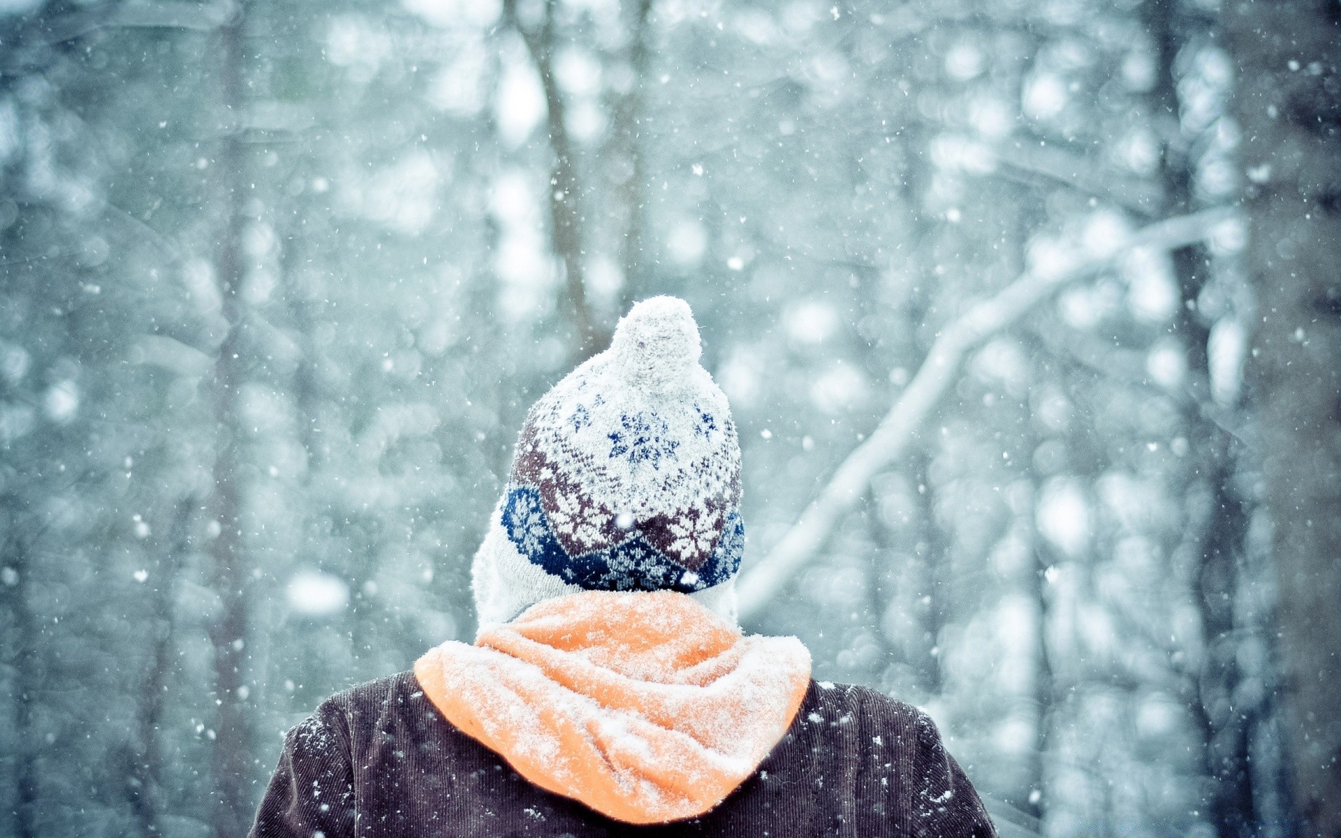 inverno neve frio geada ao ar livre natureza único temporada gelo congelado madeira árvore floco de neve