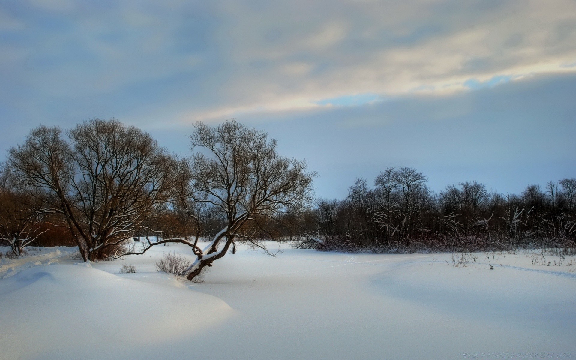 inverno paisagem árvore neve frio tempo congelado gelo amanhecer natureza névoa lago luz água céu madeira cênica luz do dia rio temporada