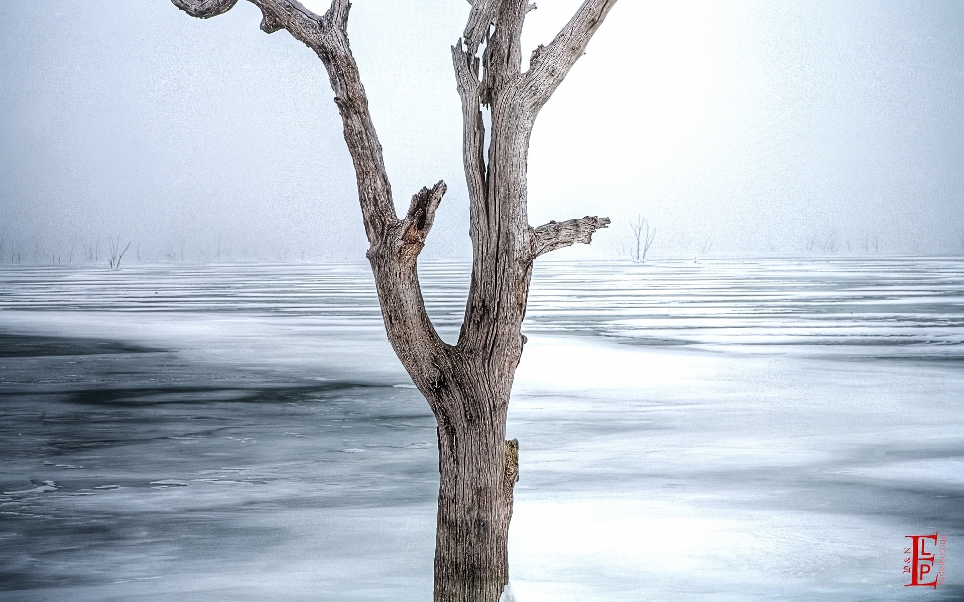 inverno acqua natura all aperto paesaggio mare cielo viaggi