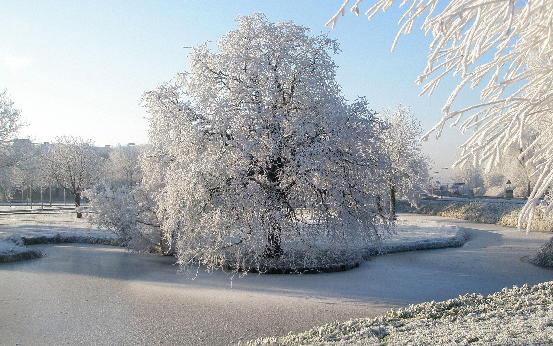 hiver neige gel glace froid congelé arbre paysage givré nature bois saison météo route neige-blanc beau temps guide brouillard glacial