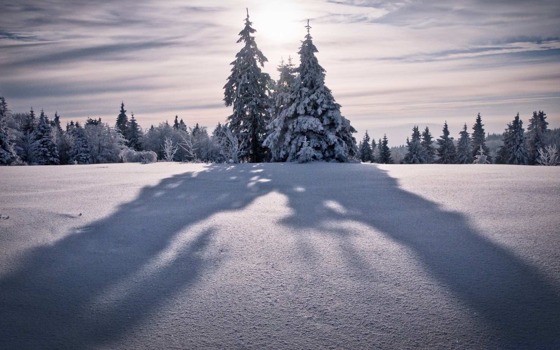 hiver neige froid gel congelé glace paysage bois bois météo montagnes scénique saison