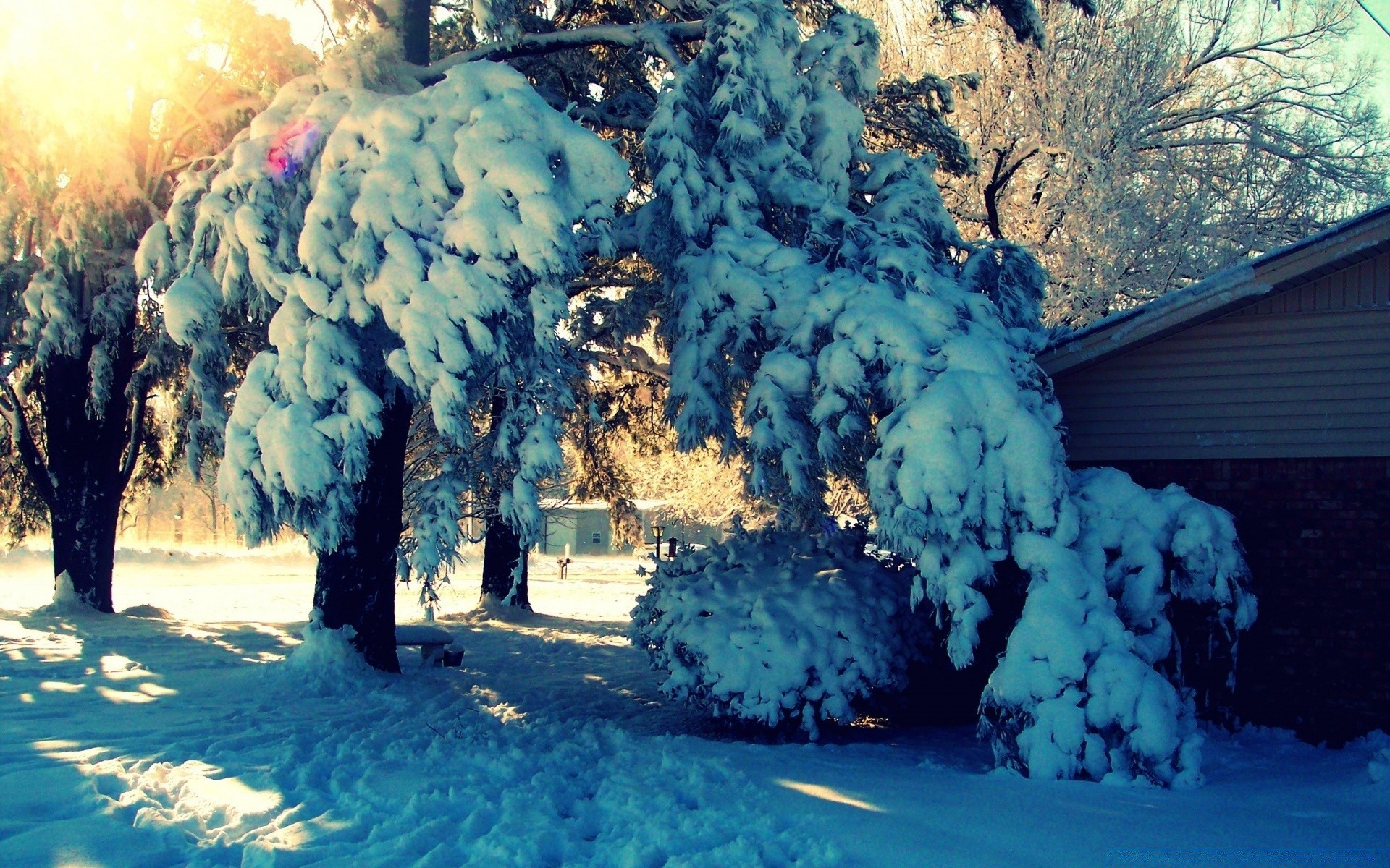 hiver neige froid en plein air voyage paysage arbre gel nature lumière congelé eau scénique météo glace