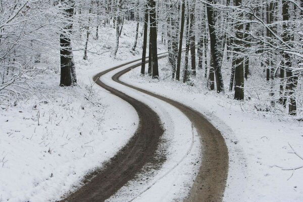 The road in the winter forest to nowhere