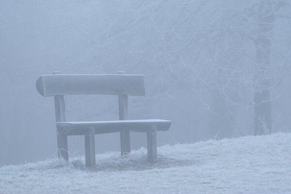 Die Bank im Nebel wurde mit Schnee bedeckt