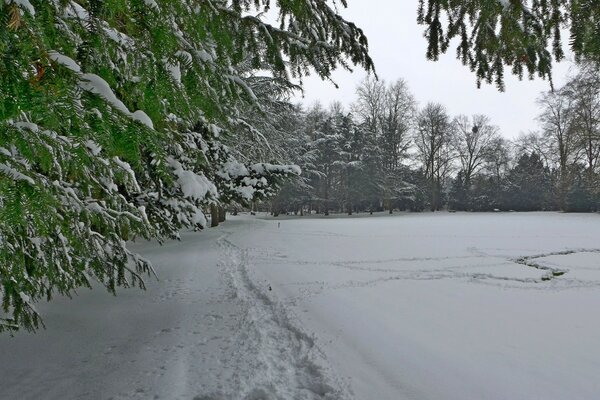 Winter landscape in the park