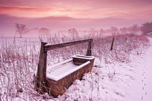 A snow-covered field on the background of a pink sunset