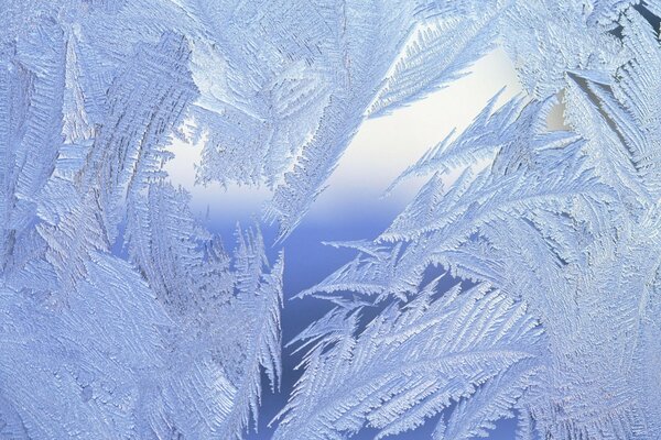 Frostige Muster auf dem Glas an meinem Fenster