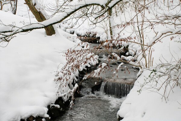 A running stream in a winter forest