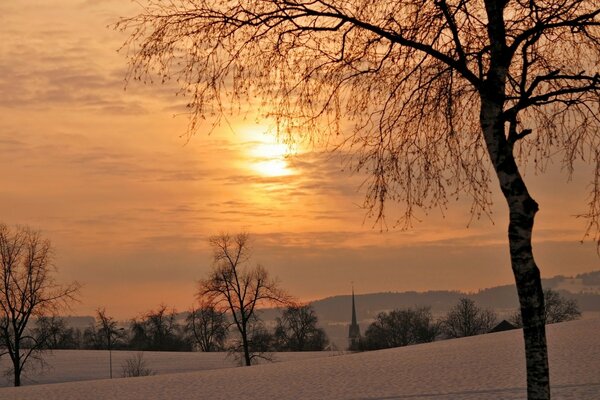 Winter dawn over snowy expanses