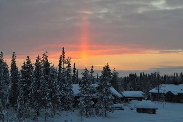 Winter snow of cold winter