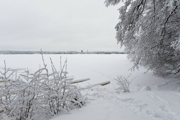 Naturaleza invernal, lago cubierto de nieve