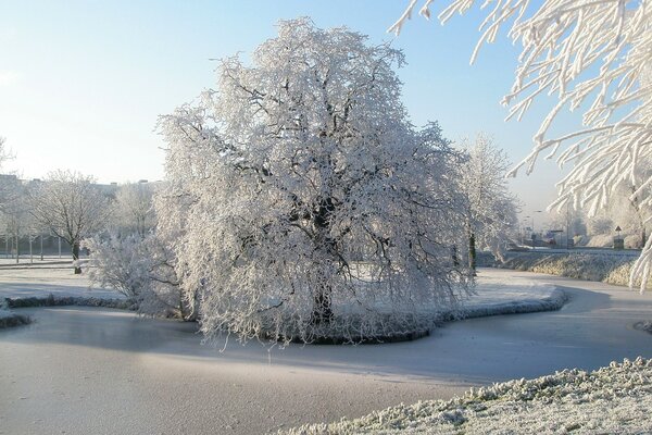 Sonniger Winter. Weißer Frost an den Bäumen. Gefrorener Fluss