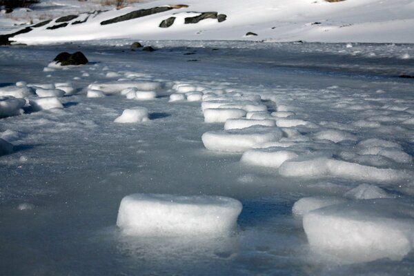 Little cookies made of snow formed on the ice