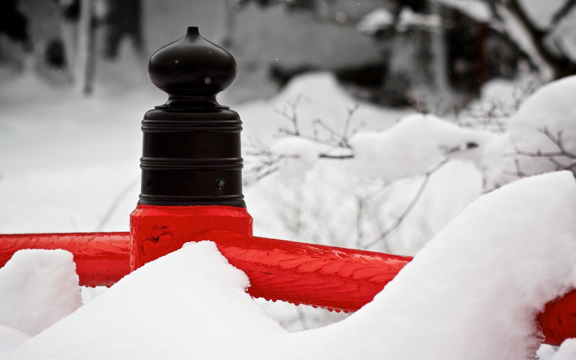 hiver neige froid gel glace bois noël congelé à l extérieur tempête de neige vacances météo unique givré paysage lumière du jour piste bonhomme de neige