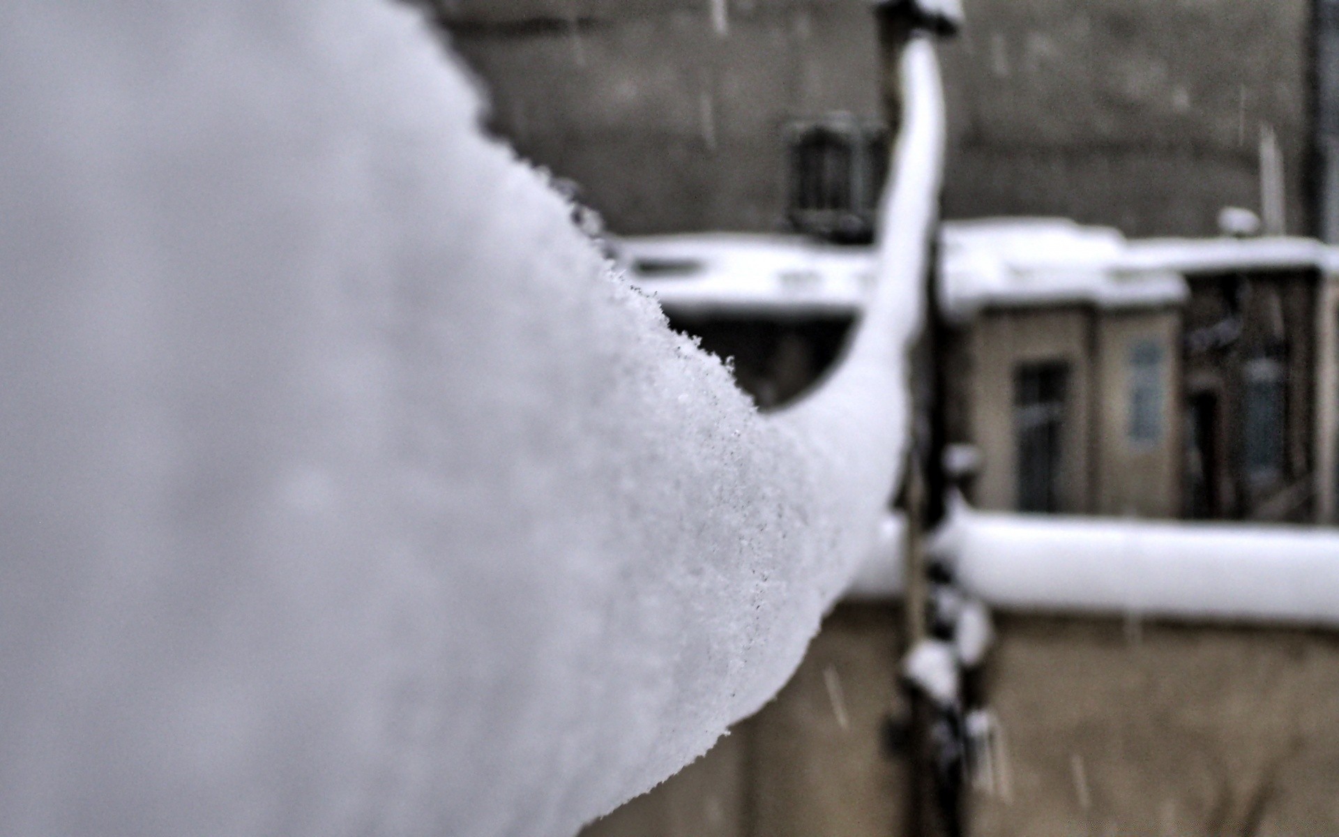 hiver neige froid gel congelé à l extérieur météo nature glace saison arbre flou tempête de neige