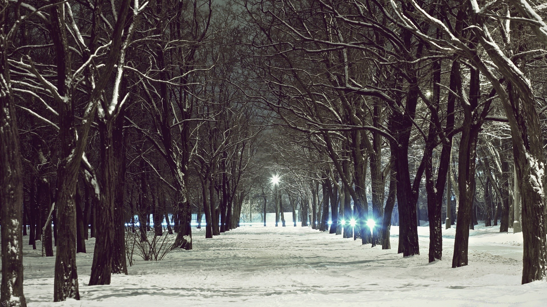 winter holz holz schnee nebel jahreszeit dämmerung park nebel landschaft zweig frost kalt herbst wetter guide natur straße gefroren im freien