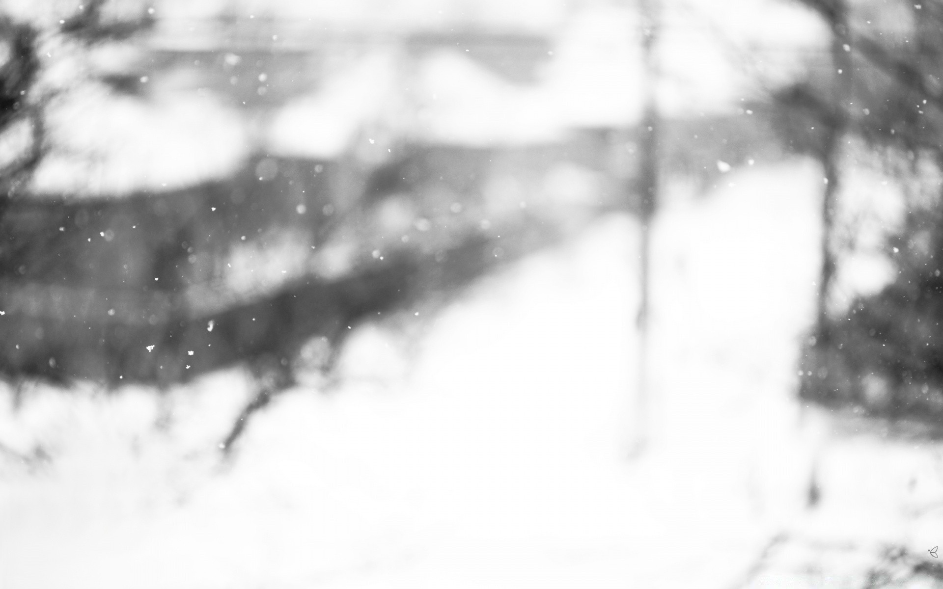 winter snow blur abstract christmas splash monochrome art